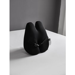 Back-Support-Pillow-5.jpg